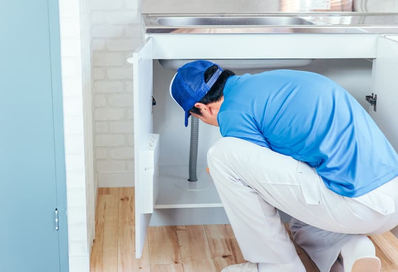 専門作業・特殊なお世話